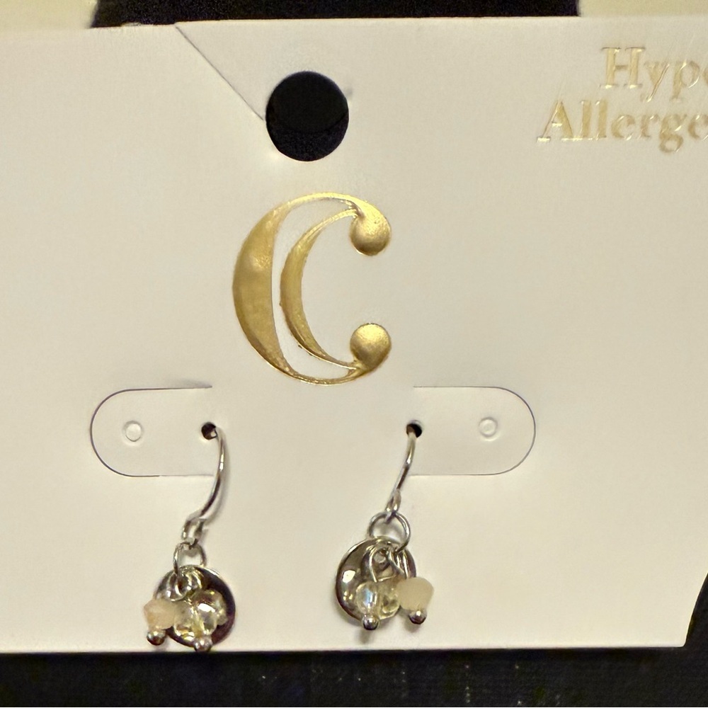 Charming Charlie Set Beaded Necklace & Earrings - Picture 10 of 10
